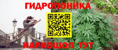 Альфа ПВП Славгород