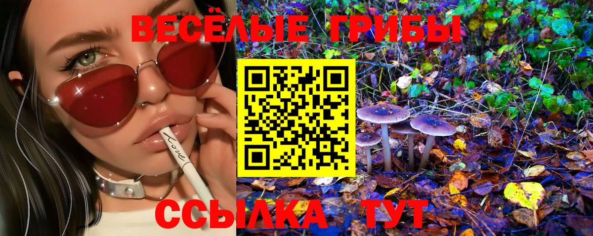 Псилоцибиновые грибы прущие грибы  Вход с VPN  Ачинск 